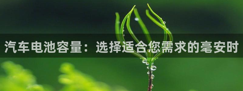 优发国际官方网手机版下载