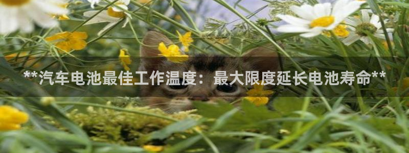 优发国际线上娱官网