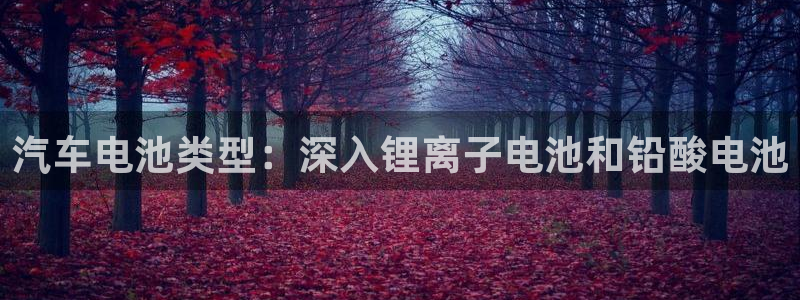 优发国际平台手机版下载安装