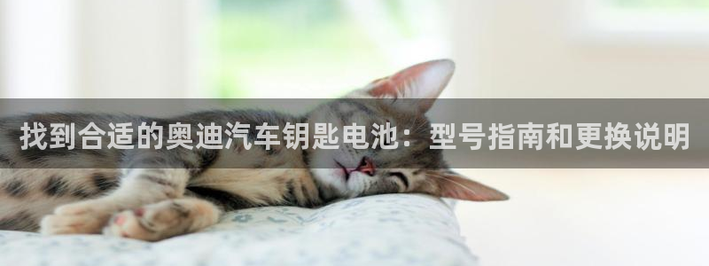 优发国际平台手机版下载安装