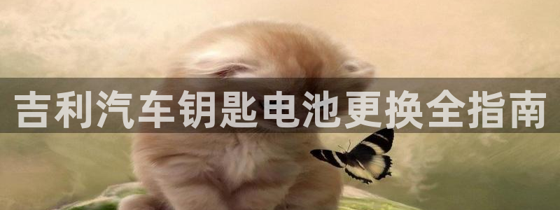 优发国际免费游戏下载