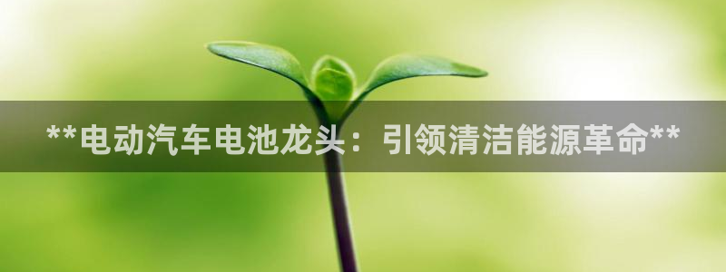 优发国际多少钱