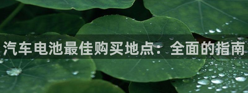 优发国际官方网手机版