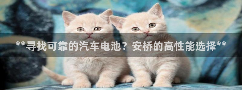 优发国际客服联系方式查询