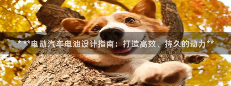 优发国际网页