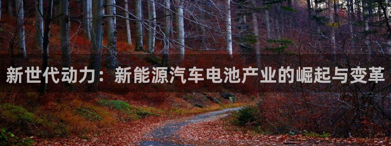 优发国际官网手机版入口