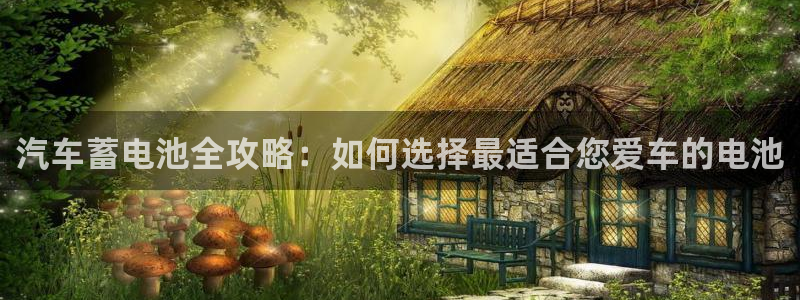 优发国际手机版下载官网