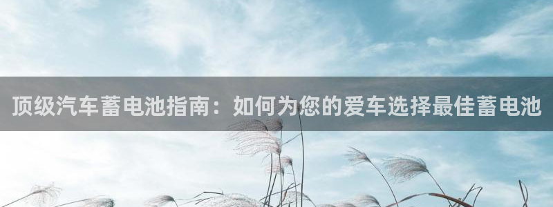 优发国际官网官方网址