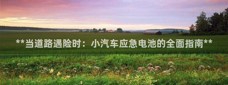 优发国际平台u8是什么公司