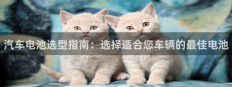 优发国际官方网手机版下载