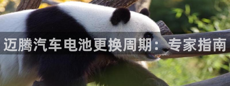优发国际手机版客户端下载