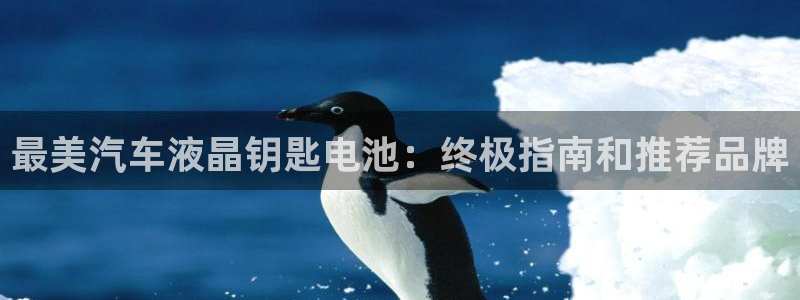 优发国际网站多少