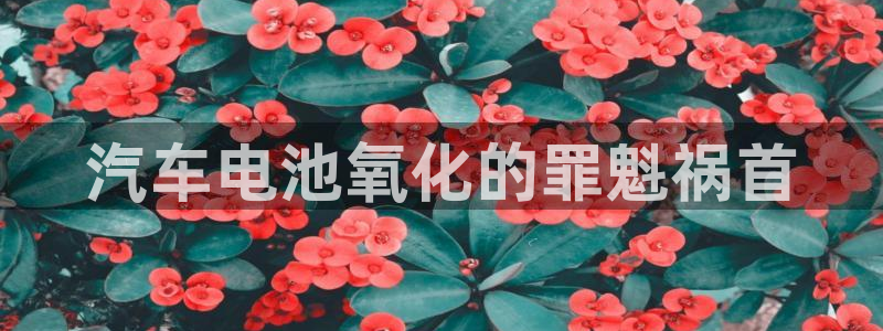 优发国际一触即发登陆