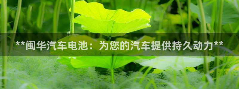 优发国际合并到哪里了最新消息