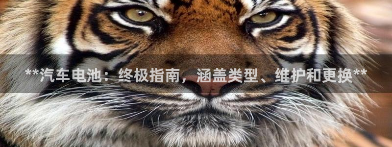 优发国际手机版下载