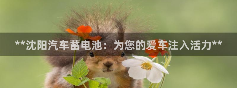 优发国际官网手机版下载安装