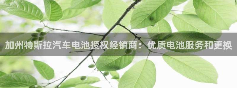 优发国际手机app下载安装最新版
