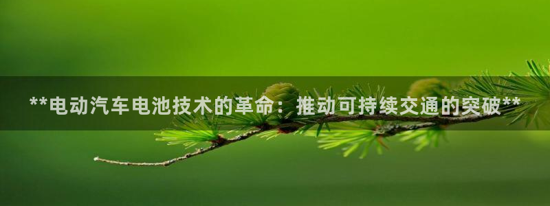 优发国际是大平台吗