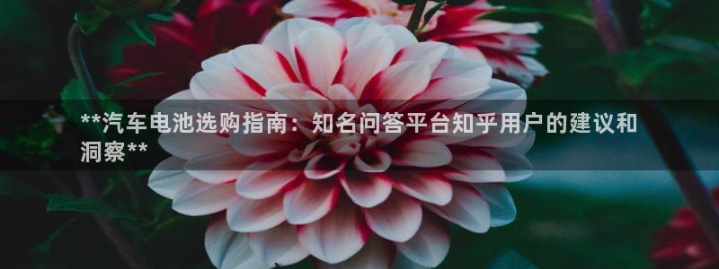 优发娱乐国际线上营业时间