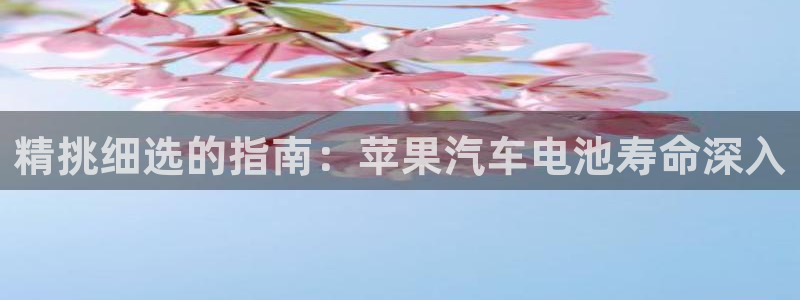 优发国际官网是多少号码