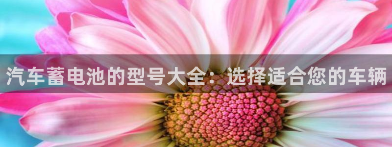 优发国际app官网下载安装