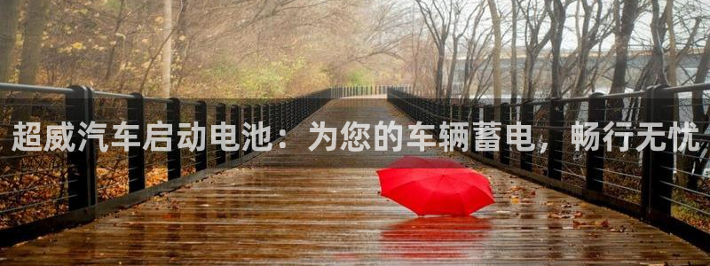 优发国际平台手机版下载