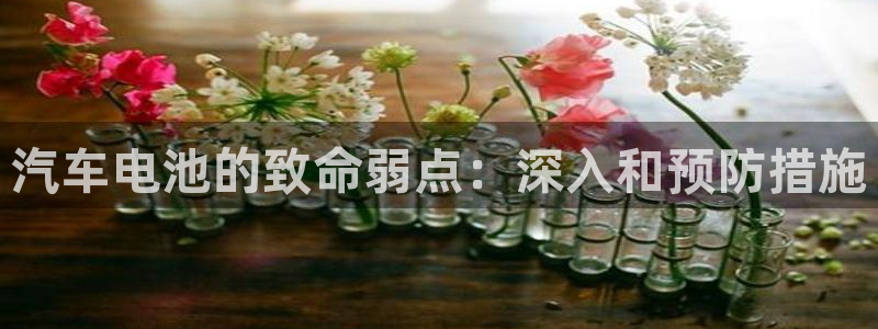 优发娱乐pc版官网