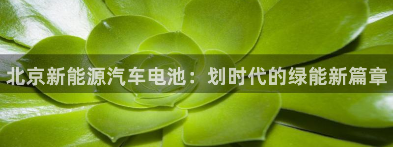 优发国际的官网是什么软件
