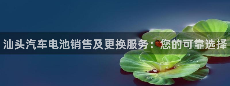 优发国际平台u8是什么