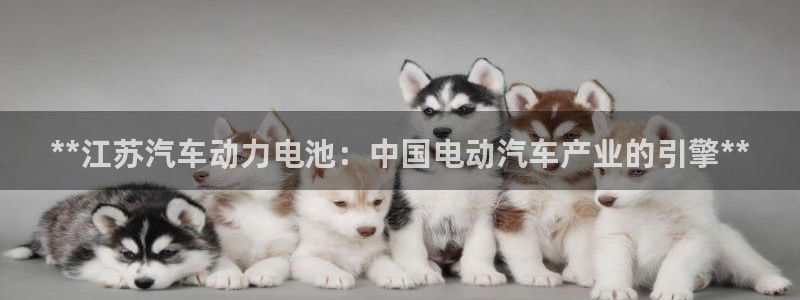 优发国际手机版官网下载