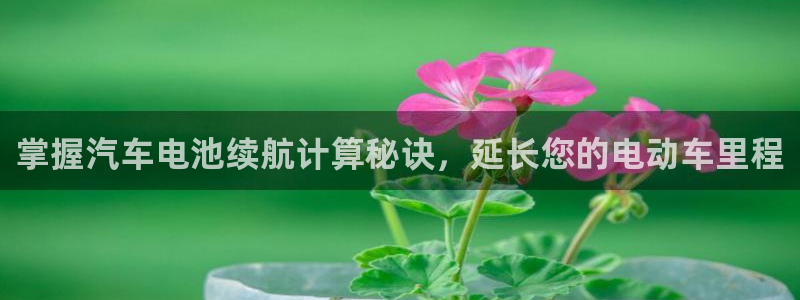 优发国际官方网手机版下载安装