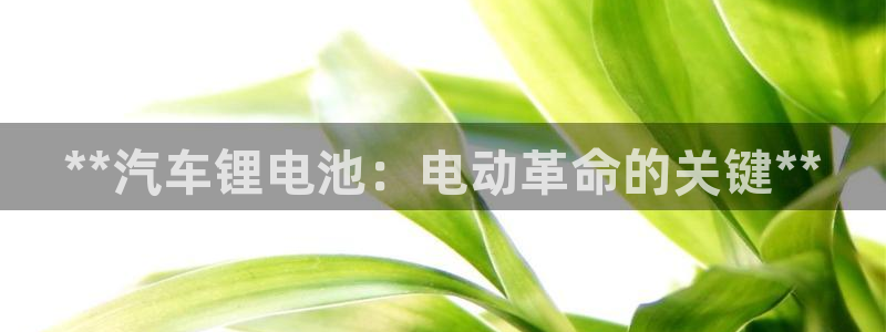优发国际手机版唯一官网是什么