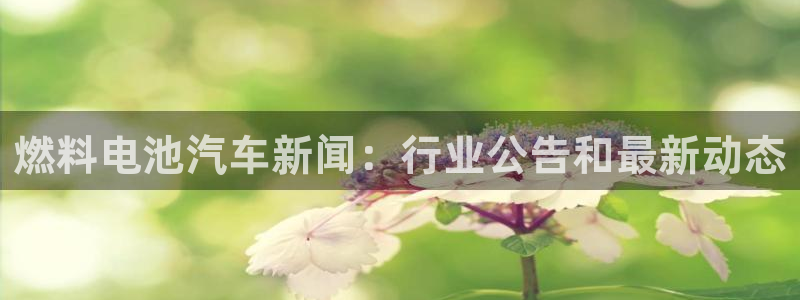 优发国际app官网下载安装