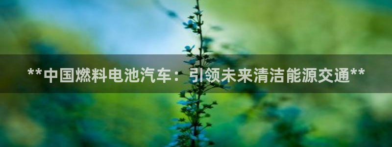 优发国际首页app