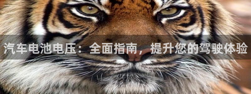 优发国际亚洲平台