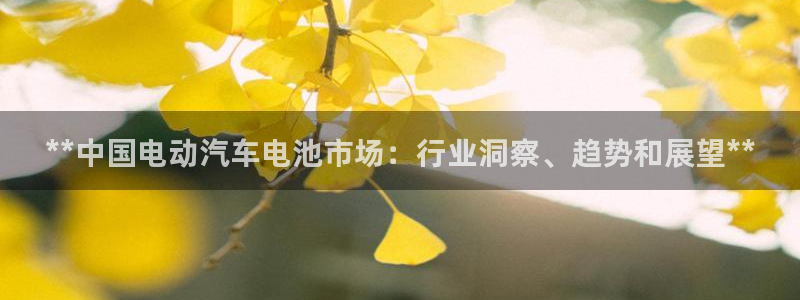 优发国际可以玩吗