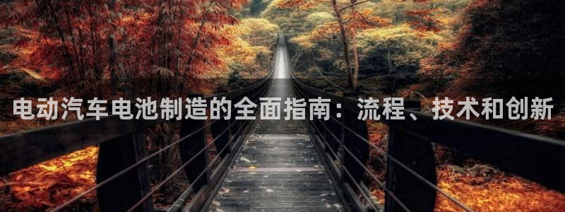 优发国际手机app下载安装官网