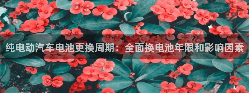 优发国际 干什么的