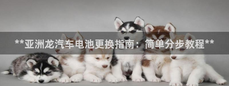 优发国际手机版网站入口