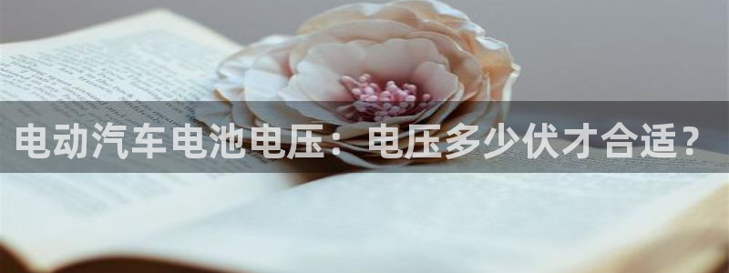 优发国际app
