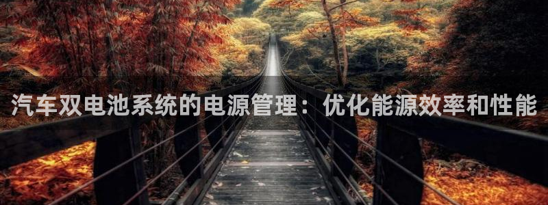 优发国际平台u8是什么公司