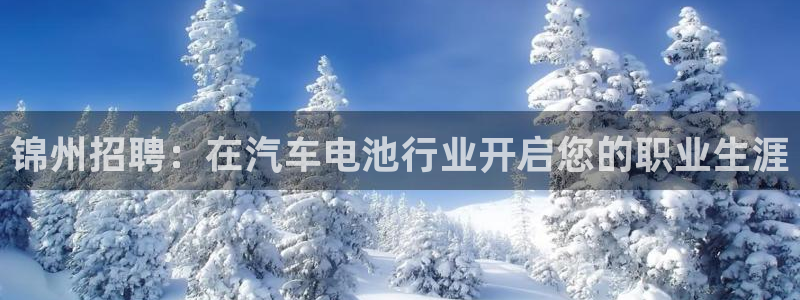 优发国际手机版唯一官网是什么