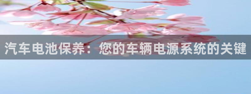 优发国际游戏n