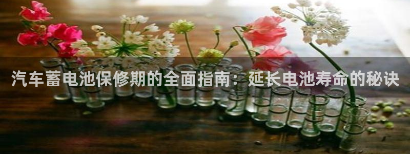 优发国际是大平台吗