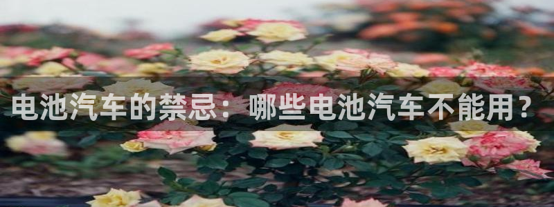 优发国际官网是多少号码