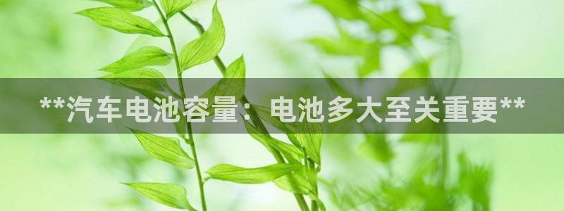 优发国际官网是多少