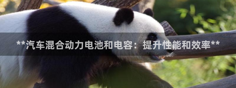 优发国际网站