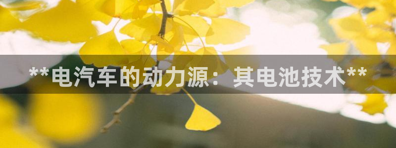优发国际官网手机版下载安卓
