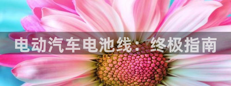 优发国际官网下载app