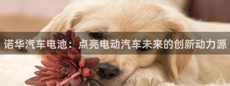 优发国际在哪里下载